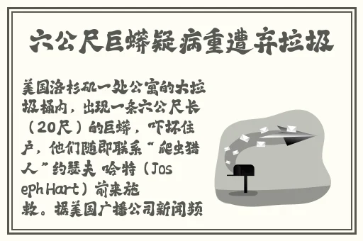 无人区玫瑰玫瑰玫瑰